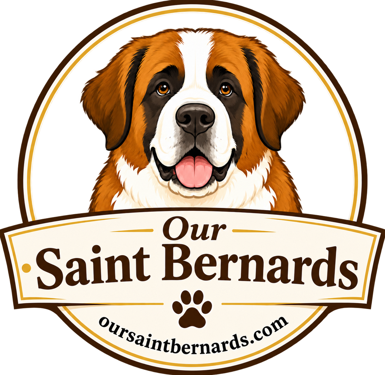 Our Saint Bernards