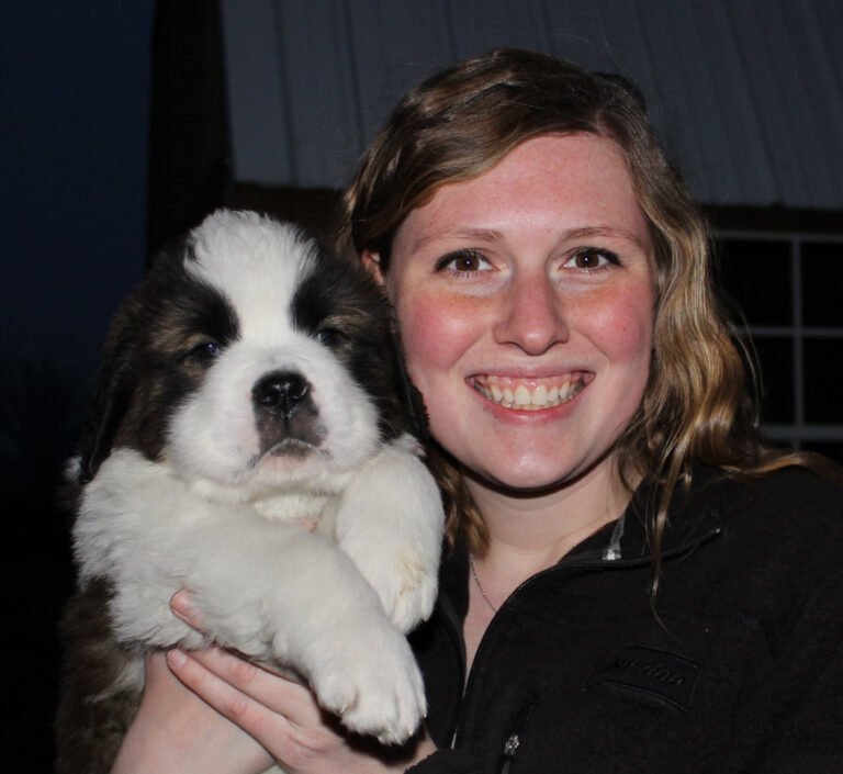 saintbernardpuppyhome